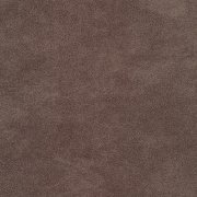 Jeep Taupe 12